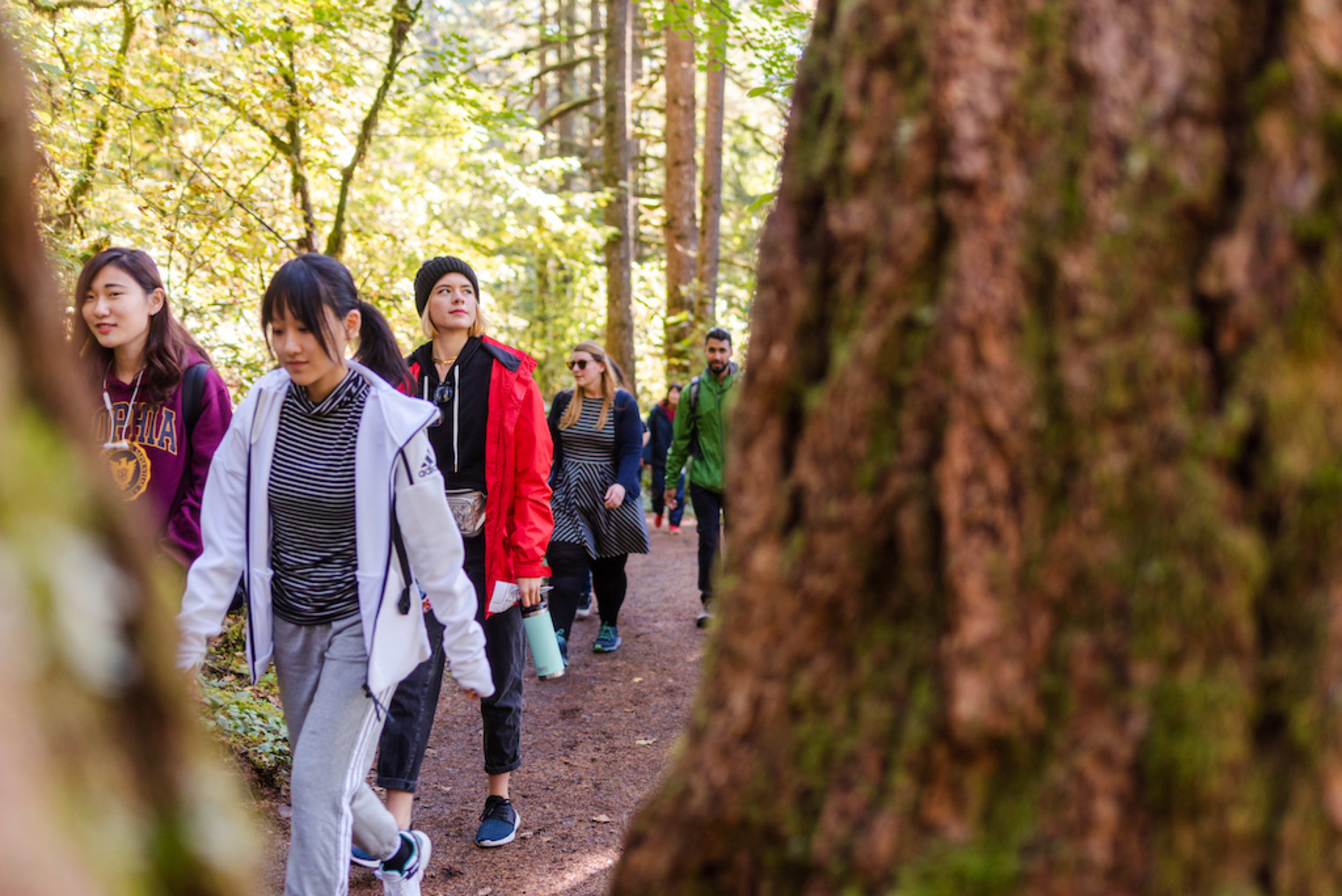 INTO Study Oregon State University International student services